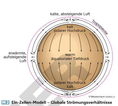 Ein-Zellen-Modell.png